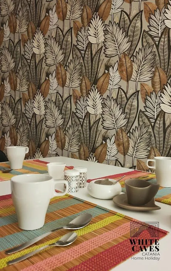 公寓 White Caves Catania Home Holiday